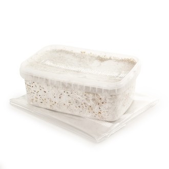 Zamnesia SUPREME Grow Kit "McKennaii"