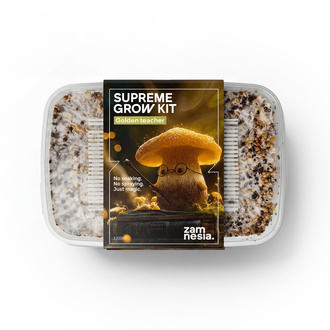 Zamnesia SUPREME Grow Kit "Golden Teacher"