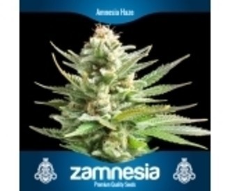 3 gratis cannabisfr&ouml;n (Zamnesia Seeds)