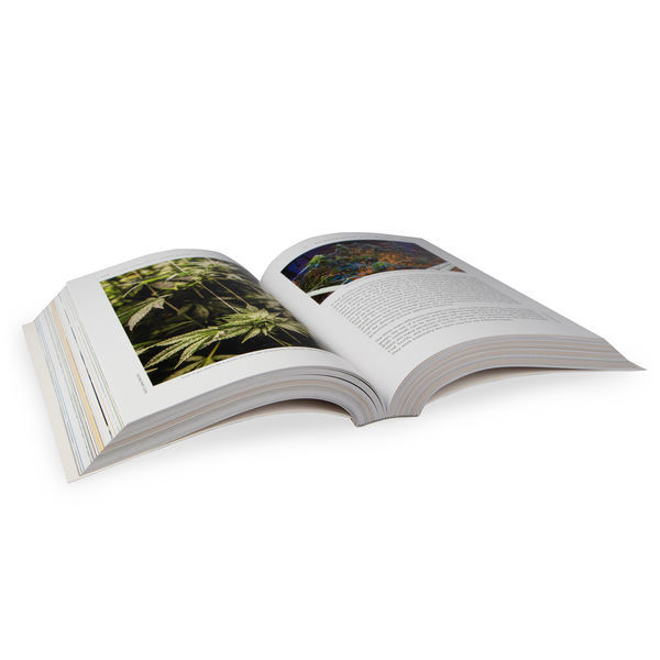 Cannabisodlarens bibel (engelska – 3:e utgåvan)