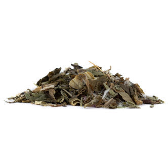 Vild sallat &ndash; Lactuca virosa