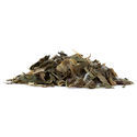 Vild sallat – Lactuca virosa