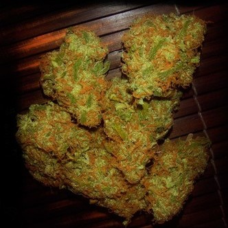 Amnesia VIP (VIP Seeds) feminiserade