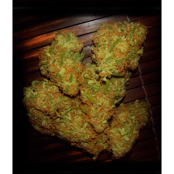 Amnezia VIP (VIP Seeds) Feminiserade
