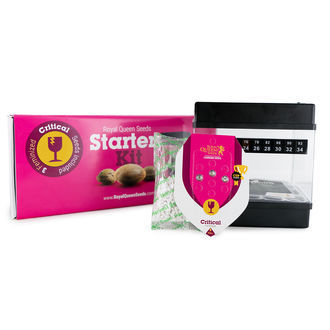 Royal Queen Seeds startkit