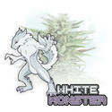 White Monster Autoflower (Zamnesia Seeds) Feminiserade