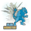 Blue Monster Autoflower (Zamnesia Seeds) Feminiserade