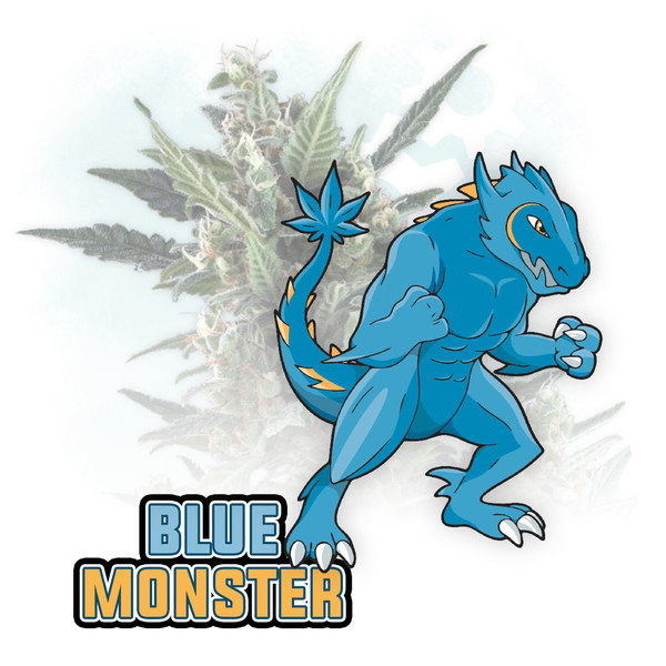 Blue Monster Autoflower (Zamnesia Seeds) Feminiserade