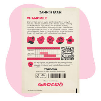 Kamomill (Matricaria chamomilla) Buddy Pack
