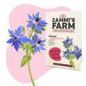 Gurkört (Borago officinalis) Buddy Pack