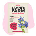 Gurkört (Borago officinalis) Buddy Pack