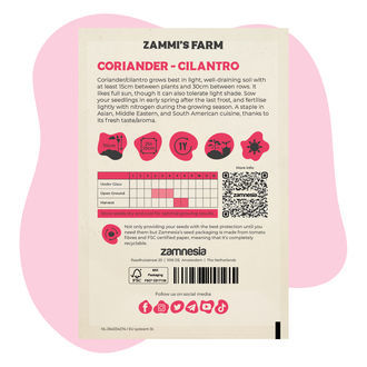 Koriander (Coriandrum sativum) Buddy Pack