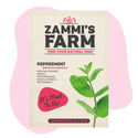 Pepparmynta (Mentha piperita) Buddy Pack