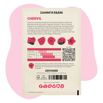 Körvel (Anthriscus cerefolium) Buddy Pack