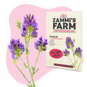 Lusern (Medicago sativa) Buddy Pack