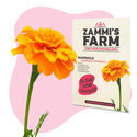 Ringblomma (Calendula officinalis) Buddy Pack