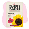 Solros (Helianthus annuus) kompispack