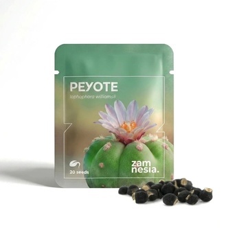 Peyote (Lophophora williamsii) 20 fr&ouml;n