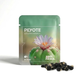 Peyote (Lophophora williamsii) 20 fr&ouml;n