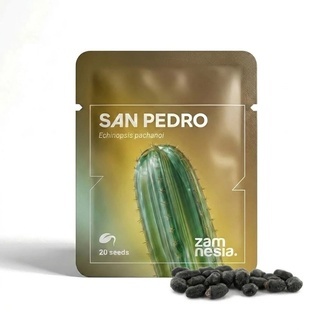 San Pedro (Echinopsis pachanoi) 20 frön