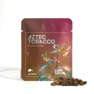 Aztekisk tobak (Nicotiana rustica) 20 fr&ouml;n