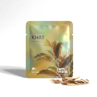 Khat (Catha edulis) 10 fr&ouml;n