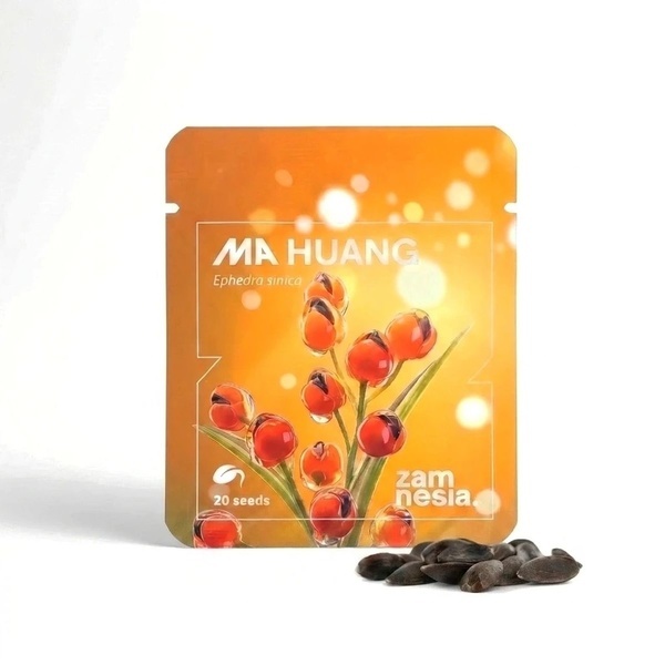 Ephedra (Ma Huang) 20 frön