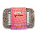 Zamnesia Classic Grow Kit "McKennaii"