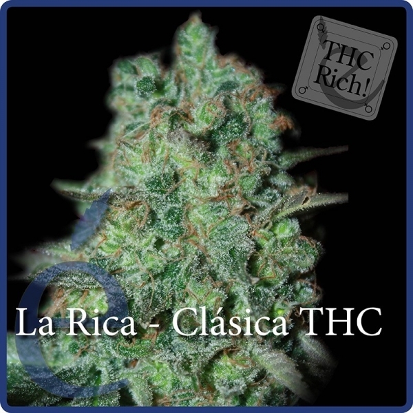 La Rica Classic THC (Elite Seeds) Feminiserade