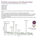 Llimonet Haze Classic THC (Elite Seeds) Feminiserade