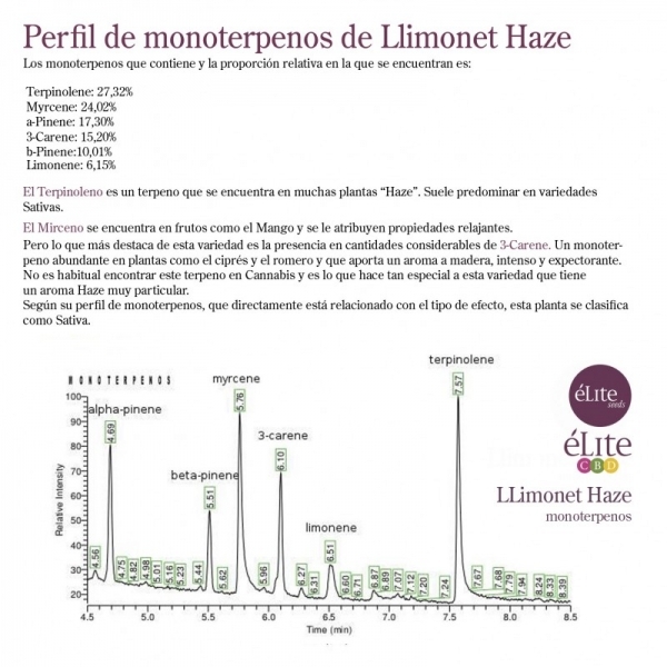 Llimonet Haze Classic THC (Elite Seeds) Feminiserade