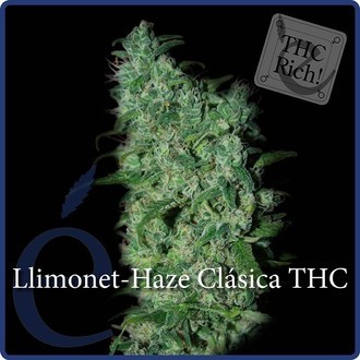 Llimonet Haze Classic THC (Elite Seeds) Feminiserade