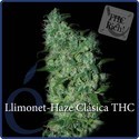 Llimonet Haze Classic THC (Elite Seeds) Feminiserade