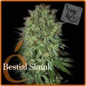 Bestial Skunk (Elite Seeds) Feminiserade