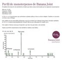 Banana Joint (Elite Seeds) Feminiserade
