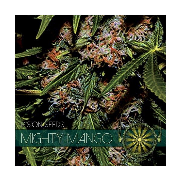 Mighty Mango Bud (Vision Seeds) Feminiserade
