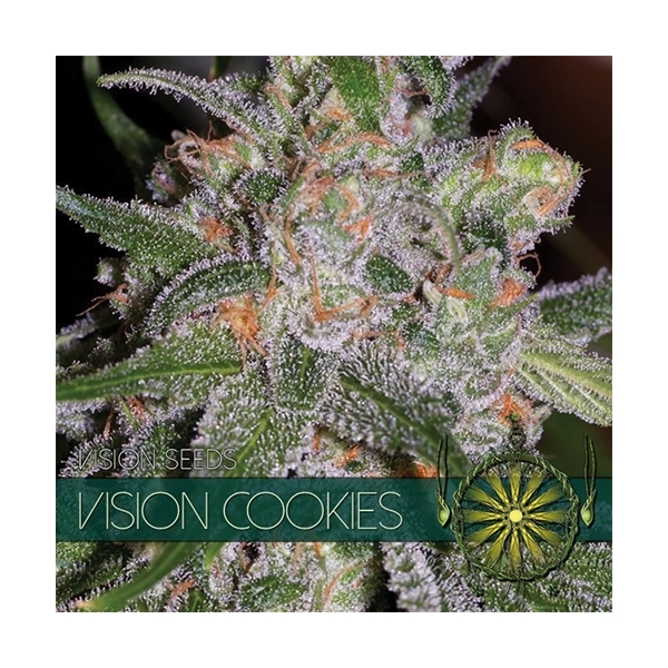 Vision Cookies (Vision Seeds) Feminiserade