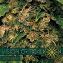 Vision Critical Autoflower (Vision Seeds) Feminiserade