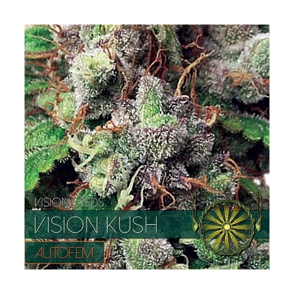 Vision Kush Autoflower (Vision Seeds) Feminiserade