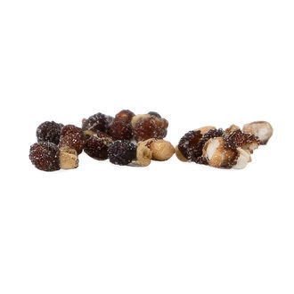 Aztekisk kaktus (Aztekium ritteri) 20 fr&ouml;n