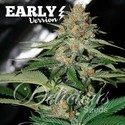Delicious Candy tidig version (Delicious Seeds) Feminiserade