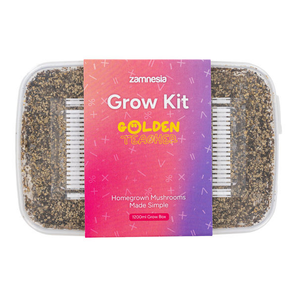 Zamnesia Classic Grow Kit ”Golden Teacher”