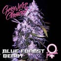 Blue Forest Berry (Growers Choice) Feminiserade
