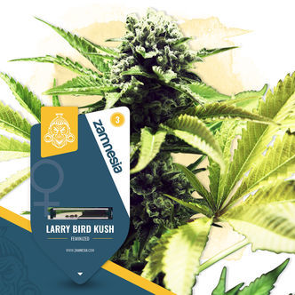 Larry Bird Kush (Zamnesia Seeds) feminiserade cannabisfr&ouml;n