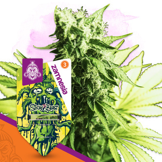 Sticky Beast (Zamnesia Seeds) feminiserade