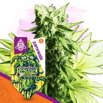 Sticky Beast (Zamnesia Seeds) Feminiserade