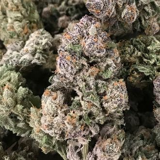 Dark GhostTrain (Rare Dankness) Feminiserade