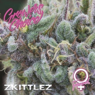 Zkittlez (Growers Choice) Feminiserade