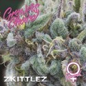 Zkittlez (Growers Choice) Feminiserade