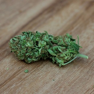 Sweet Harlem Diesel (Sumo Seeds) Feminiserade